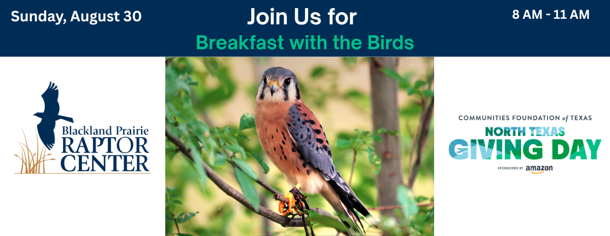 North Texas Giving Day - Breakfast with the Birds